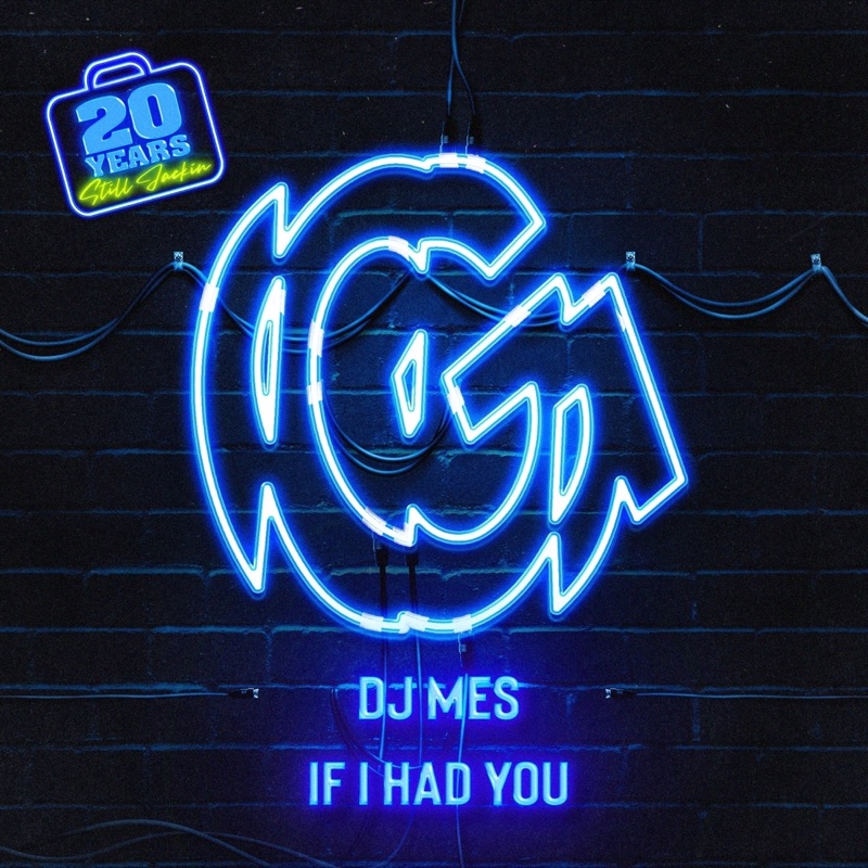 Cover of If I Had You