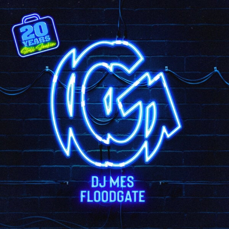 Cover of Floodgates